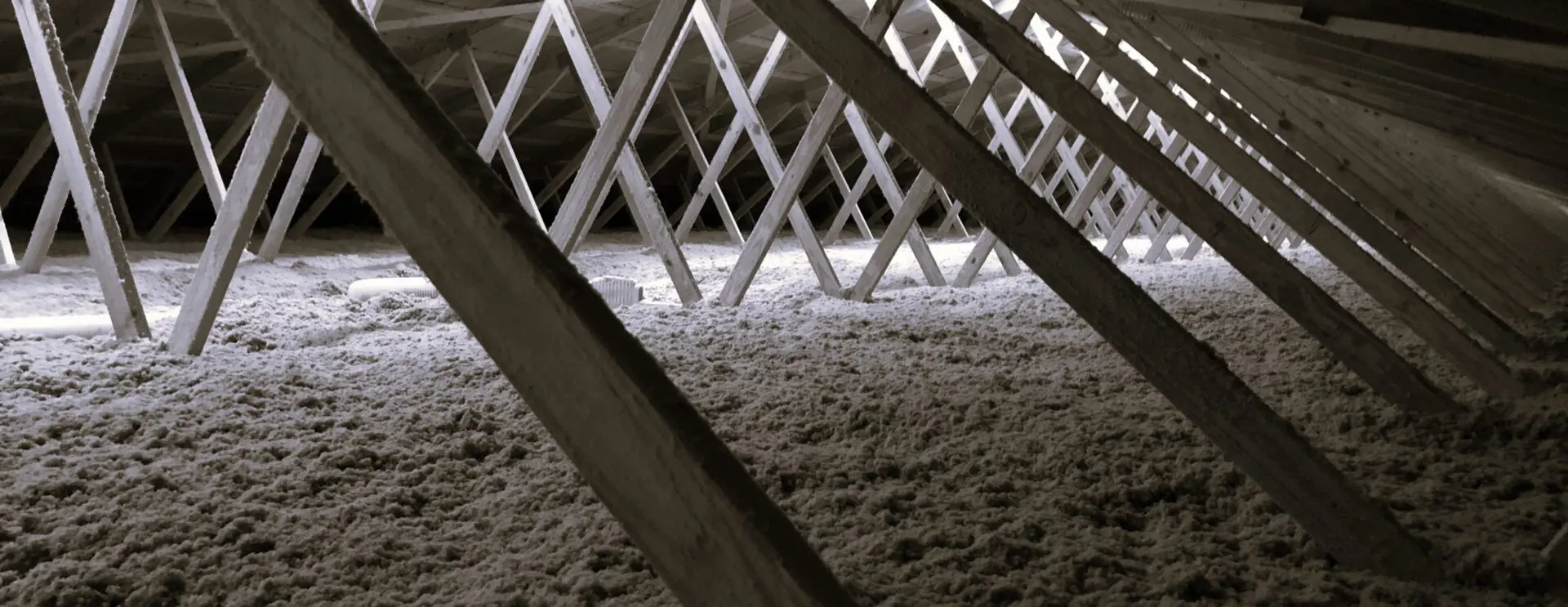 Roof trusses in a dim attic